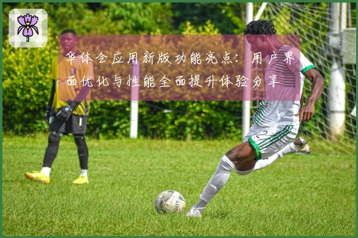 华体会应用新版功能亮点：用户界面优化与性能全面提升体验分享